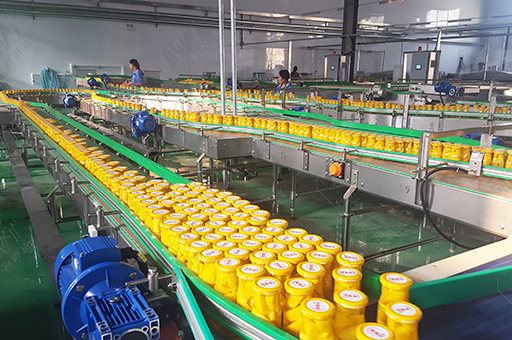 鏈板輸送線(xiàn)